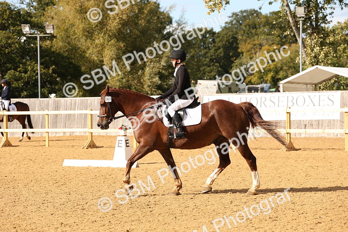SBM_10595 - D9 - Small Tour Championship Prelim 3