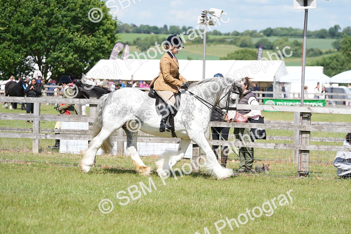 SBM_17109 - Class 107-108 - LIHS BSPS Performance Coloured Horse Pony