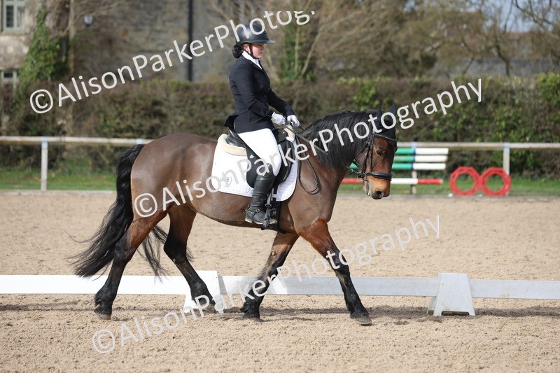 20260301-0850 - Class 5 - Elementary 4