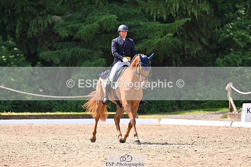 250523A-113814-06606 - C-273-Tim.Cheffings-HEARSAY.LARK.RISING