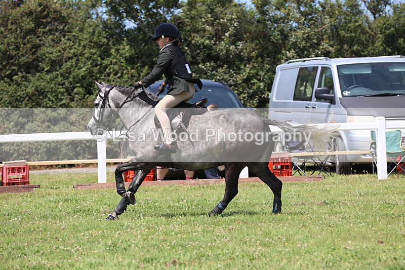 JPP_2618 - Class 21: Working Hunter 60cm