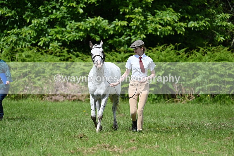 WJ7_1295 - Class 11 Condition & Turnout