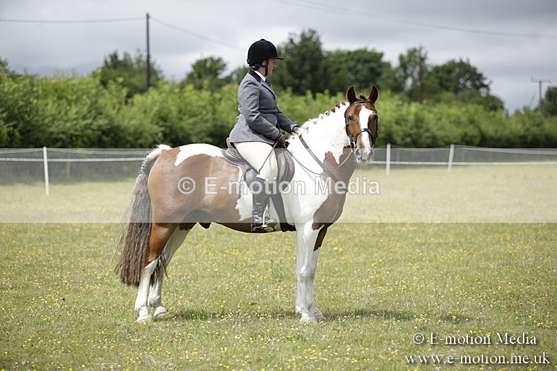 BVR160717-1909 - Ring 1 BVRC Show 16/07/17