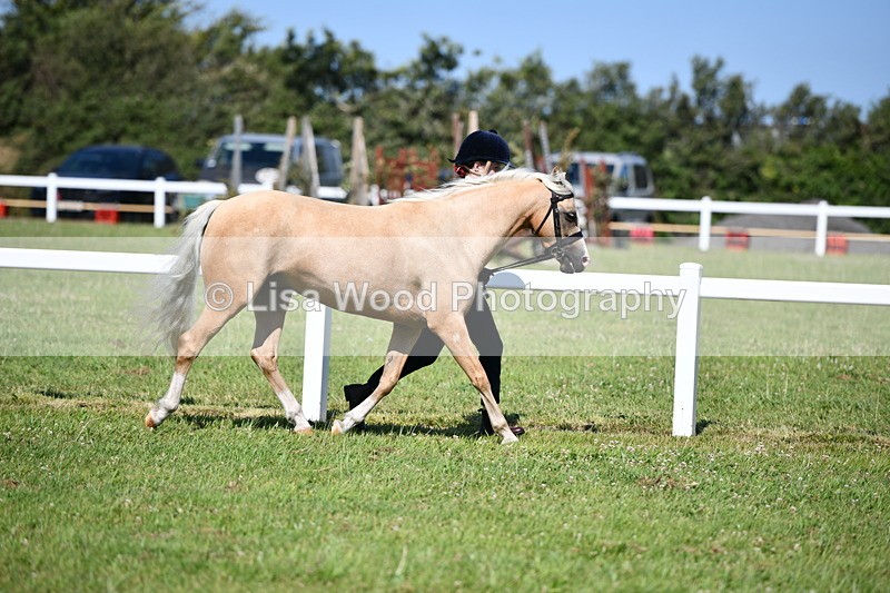 DSC_6432 - Class 53: NPS M&M 4 years and over Small Breeds