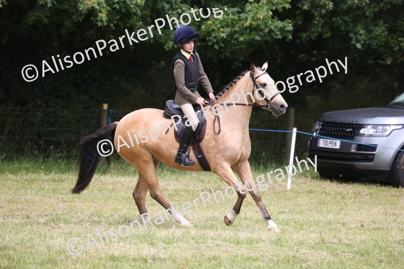 20260614-2975 - Class 22 - Open Working Hunter