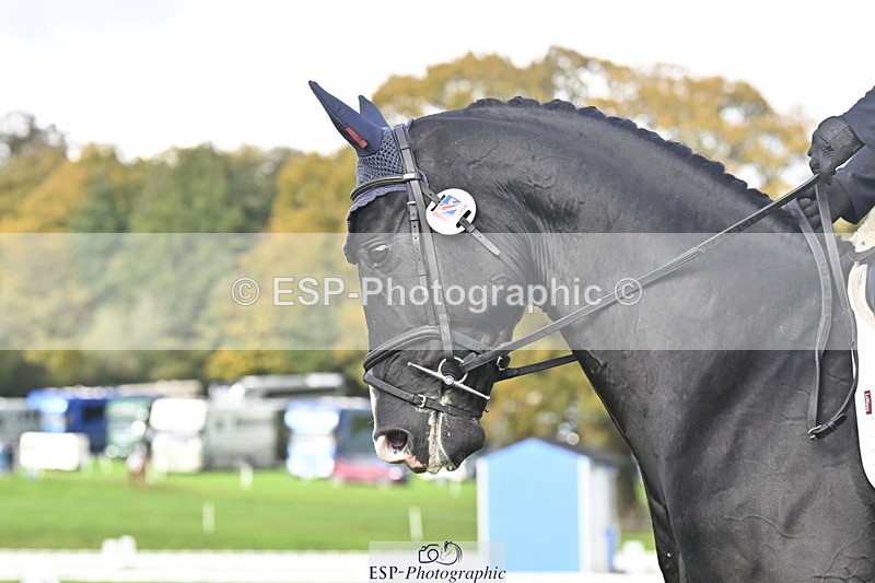 251023A-141852-04337 - E-381-Charlotte.Rowe