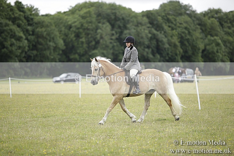 BVR160717-1545 - Ring 1 BVRC Show 16/07/17