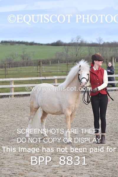 BPP_8831 - RING 2 - M&M