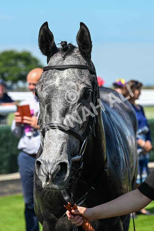 250624-Race 3-Island Native-5476 - Race 3