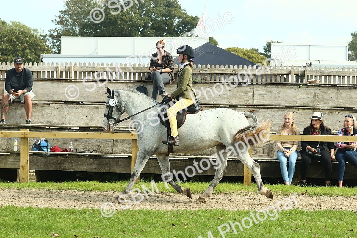 SBM_67544 - S56 - Coloured Pony Ridden
