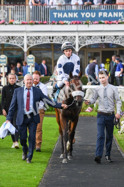 240823-Race 6-Gushing Gold-0791 - Race 6 4.45pm Or8Wellness EBF Stallions Nursery Handicap