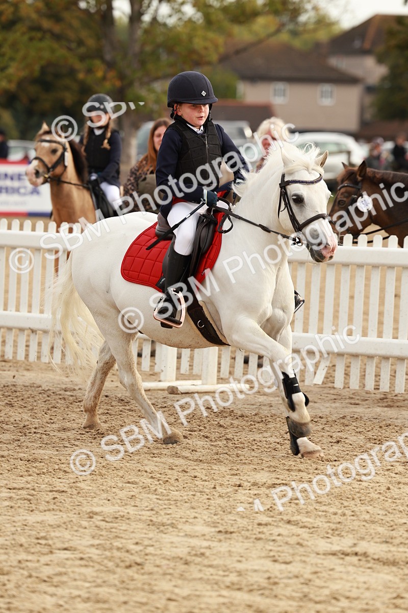 SBM_55775 - J11 - Junior Pony 50cm Championship