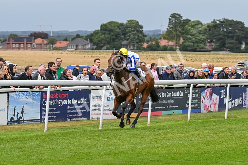 150824-Race 3-Go On Rosie-7858 - Race 3