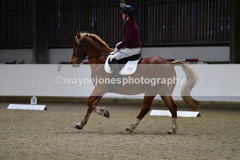 WJ5_8621 - Class 5 Novice Test 3