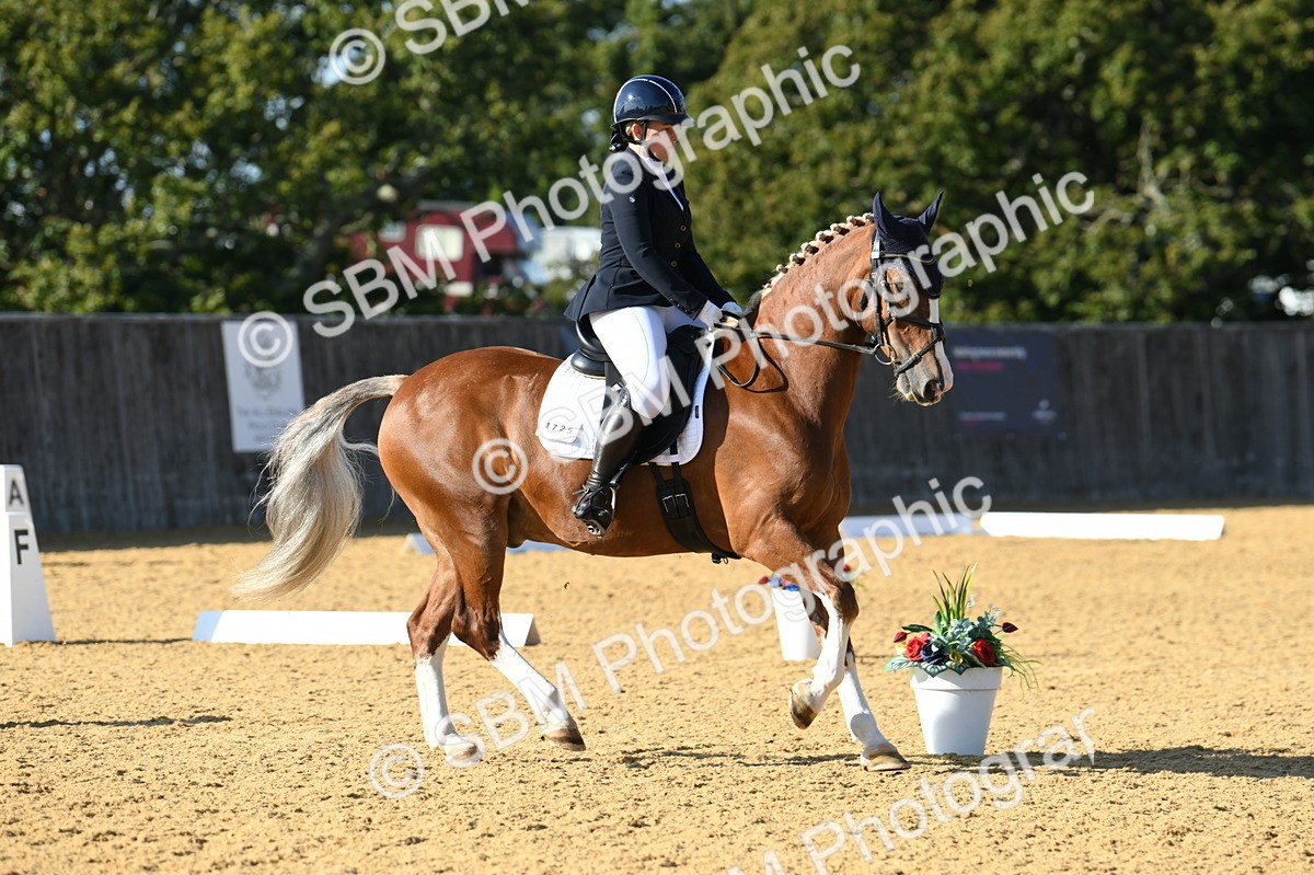 SBM_27306 - D16 - Small Tour Championship - Novice 28