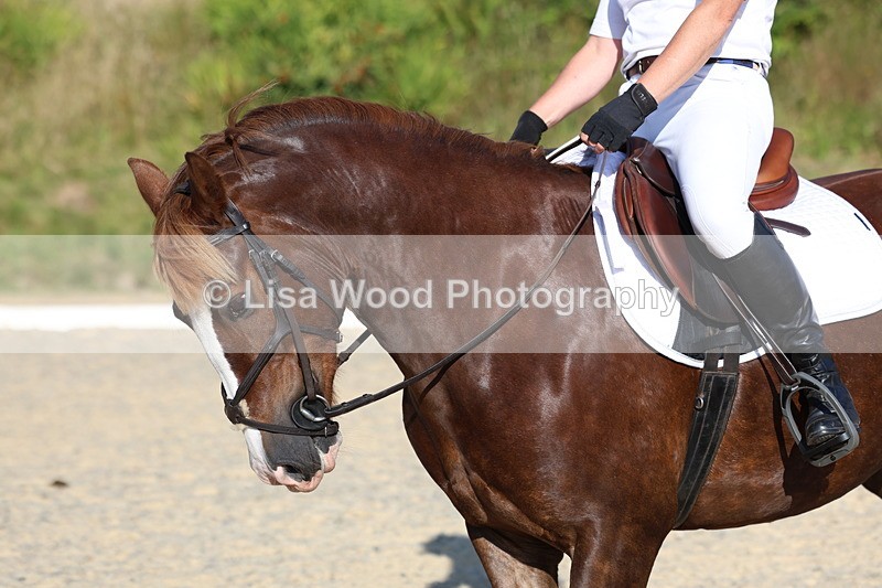 3E7A3684 - Class 2: Intro 1 2024 Section B