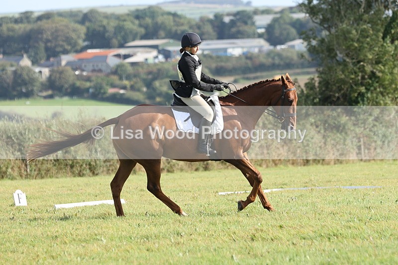 JPP_8047 - Class 2A: Trekenning Open: Dressage