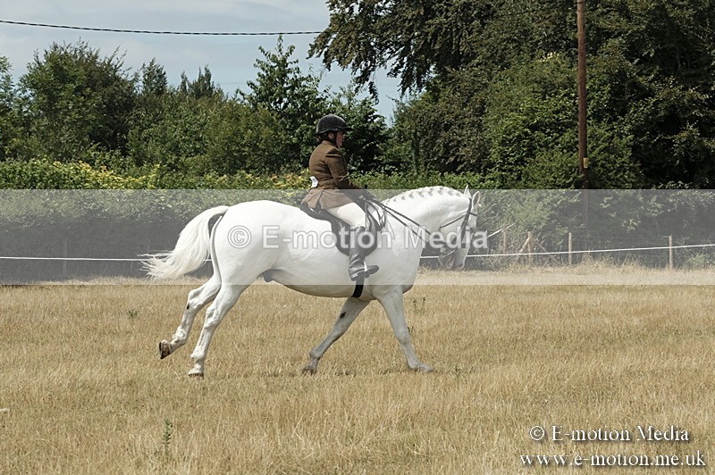 _PJP6011 - BVRC Show 2018 Ring 1