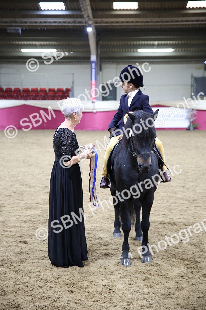 SBM_19046 - Class G Ridden Pony Champ