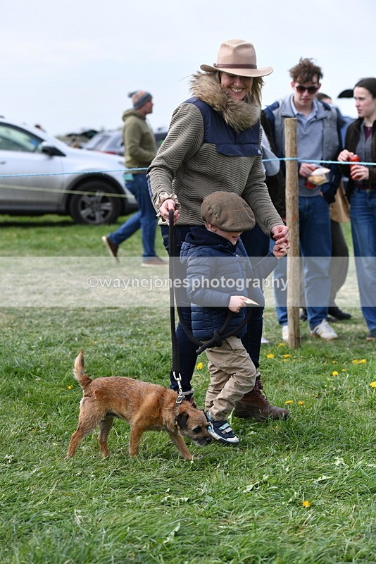 WJ5_0312 - Class 7 Best Terrier