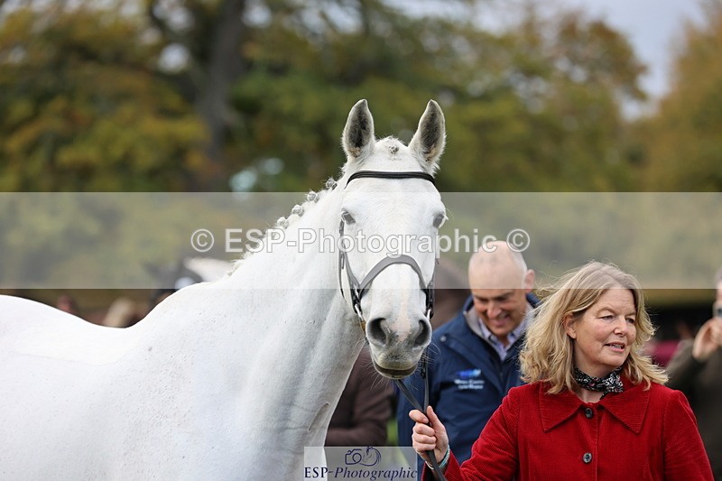 251026A-103641-23139 - G-572-Laura.Pitman With Trot Up