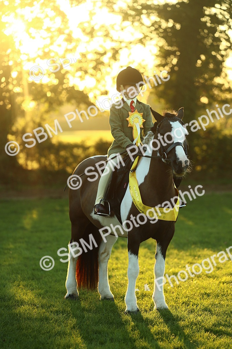SBM_56621 - Fun & Versatile Supreme Championship