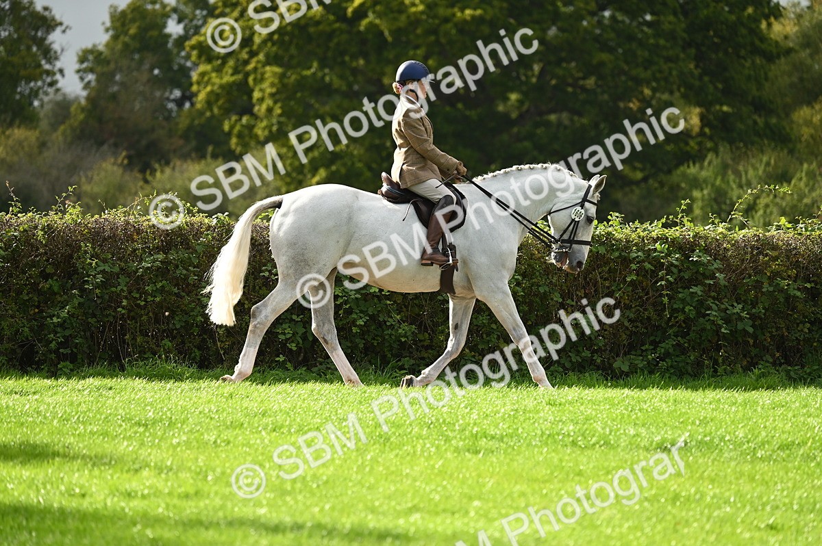 SBM_26320 - S6 - Novice & newcomer Ridden horse