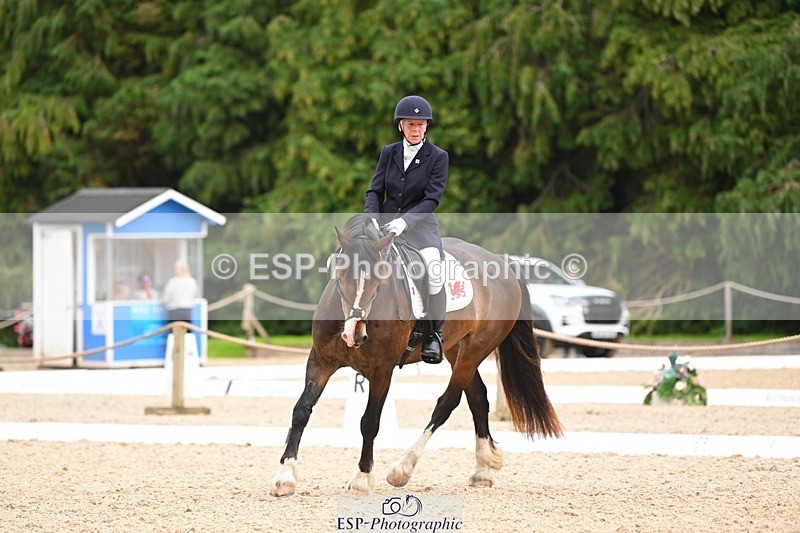 230813-140618-07679 - Cls 13 Medium Bronze 13.15 to End