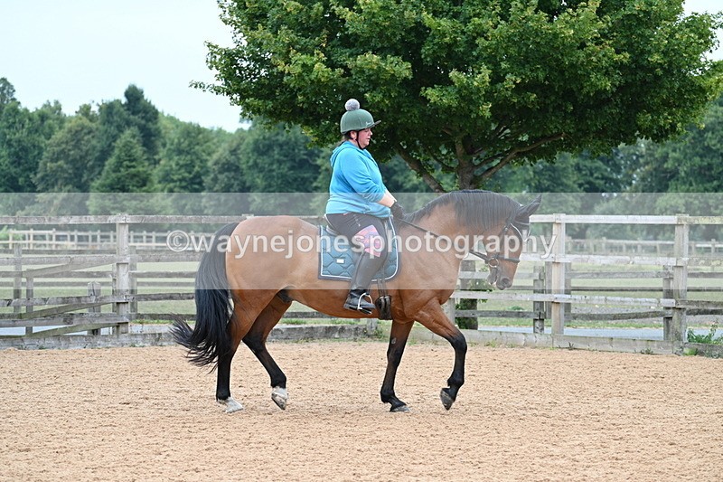 WJ7_8566 - Poles 11:00am