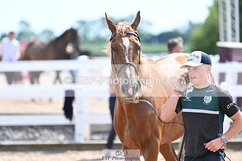 240717A-145914-02402 - Trot Up 2pm to 3pm - This folder is not in time order