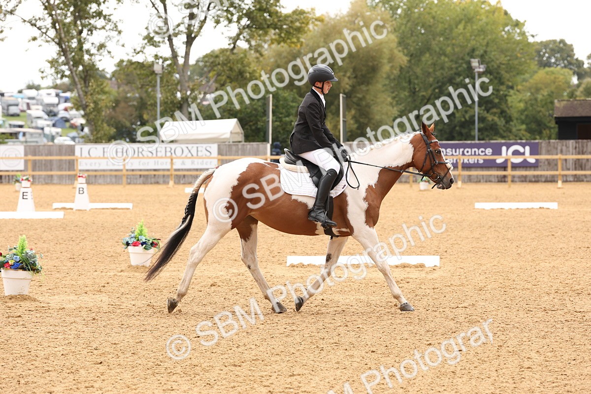SBM_44044 - D6 - Small Tour Championship Intro 4