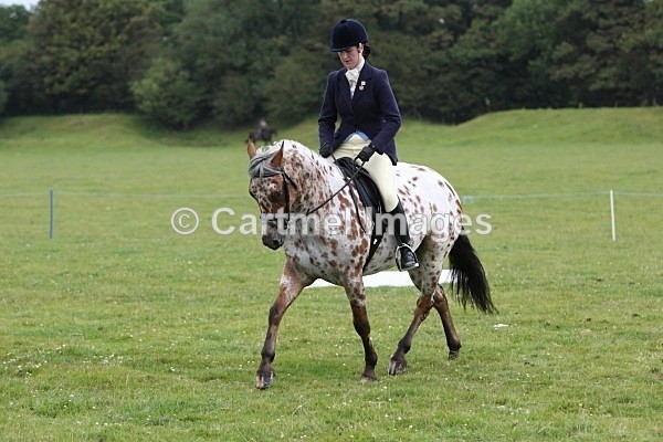 JMB_4743 - Morecambe Bay Riding Club July 2011 - Ridden Showing/Dressage