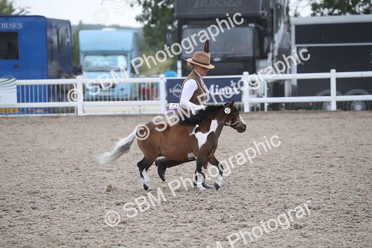 SBM_18024 - Class 317 IH Pure bred Horse/Pony