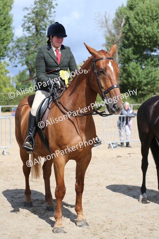 20260831-2804 - Class 16 and 17- Ridden Cob and Hunters