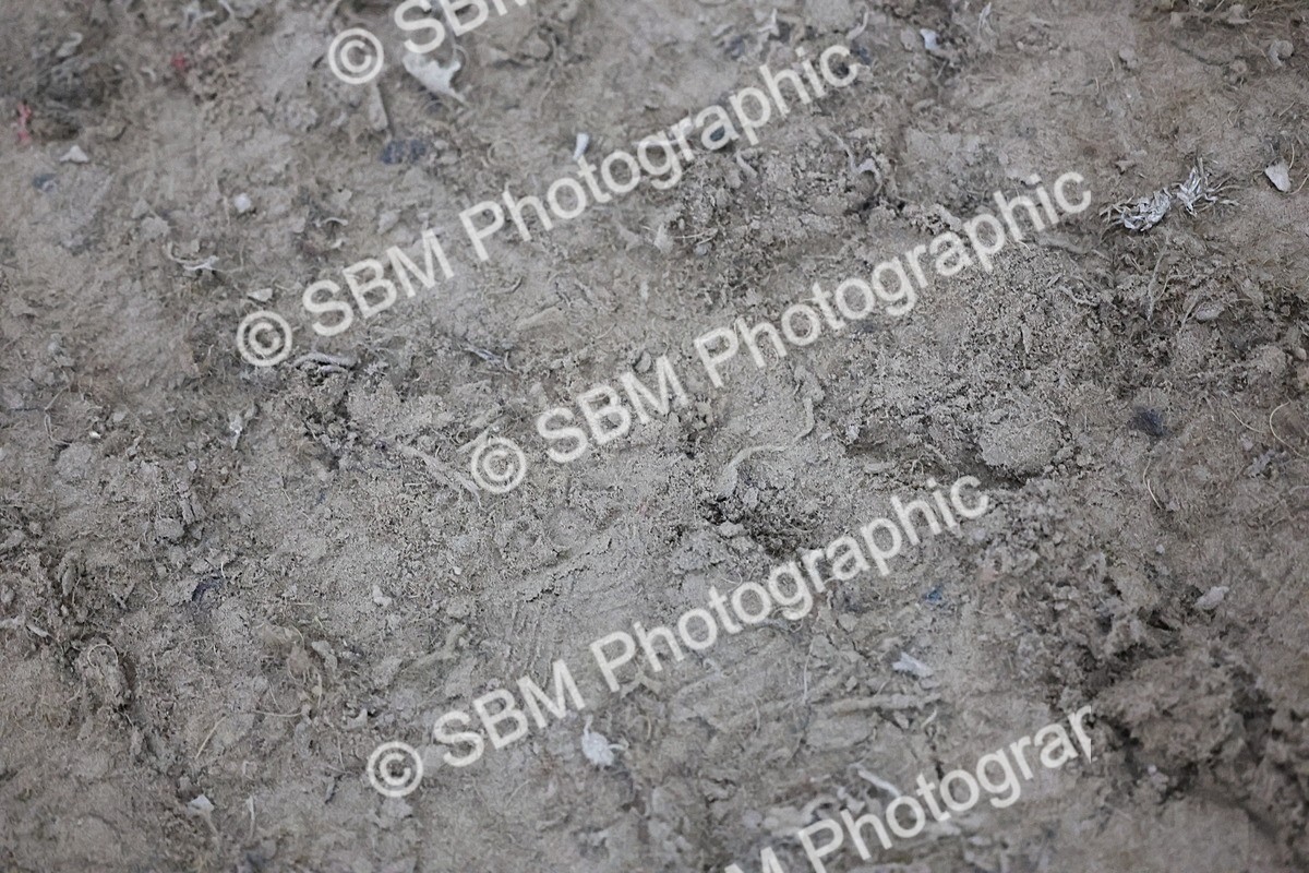 SBM_006289 - Evening Performance