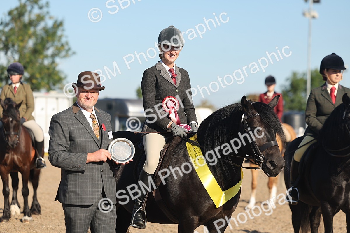 SBM_11105 - Class 302 - Ridden M&M Large Breeds