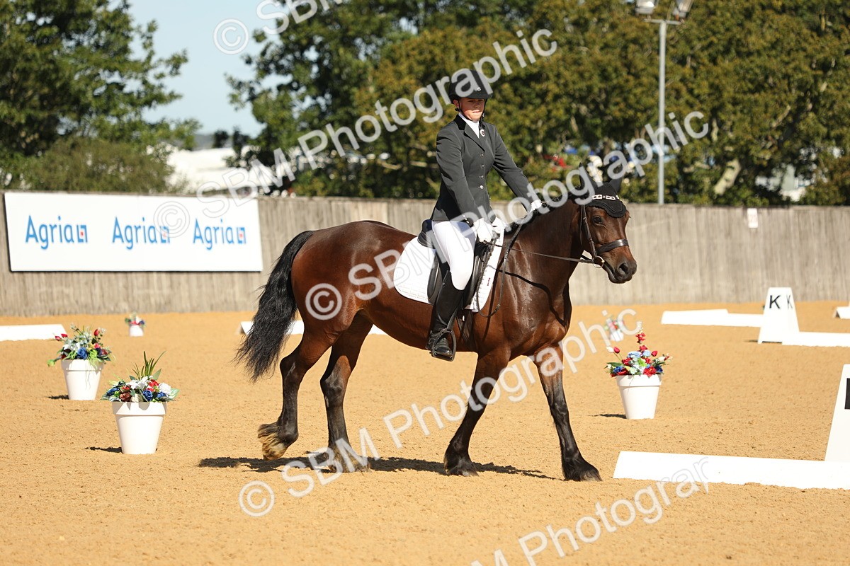 SBM_18801 - D10 - Small Tour Championship - Prelim 2