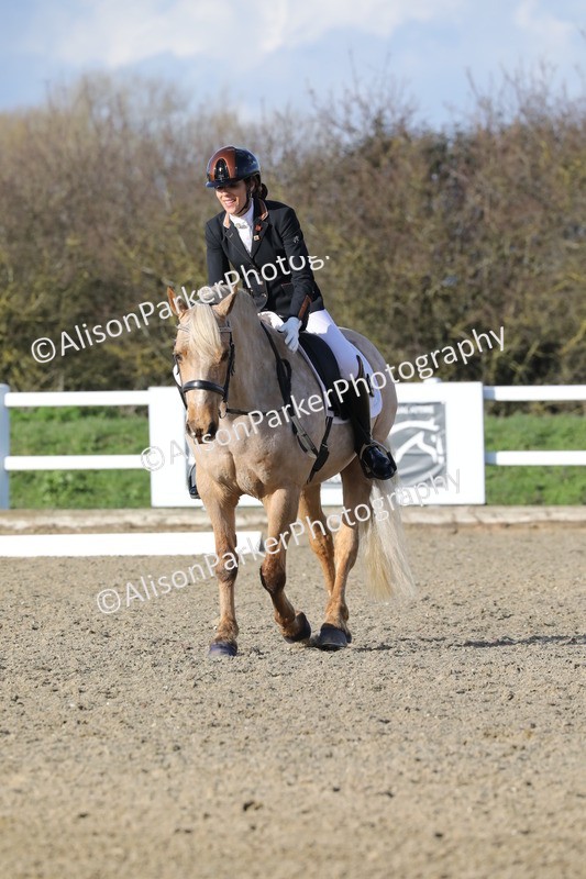 20260314-5822 - DR 7 - Elementary 1