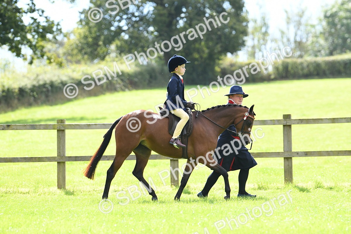 SBM_41170 - S19 - Lead Rein Show & Show Hunter Pony