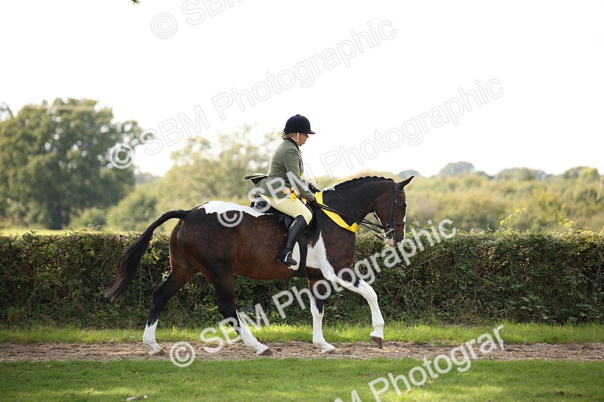 SBM_70160 - S65 - Piebald & Skewbald Horse Ridden