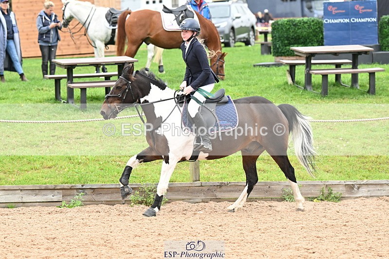 240907A-132001-01964 - Cls 3 Pony Medium Team 80cm & 90cm