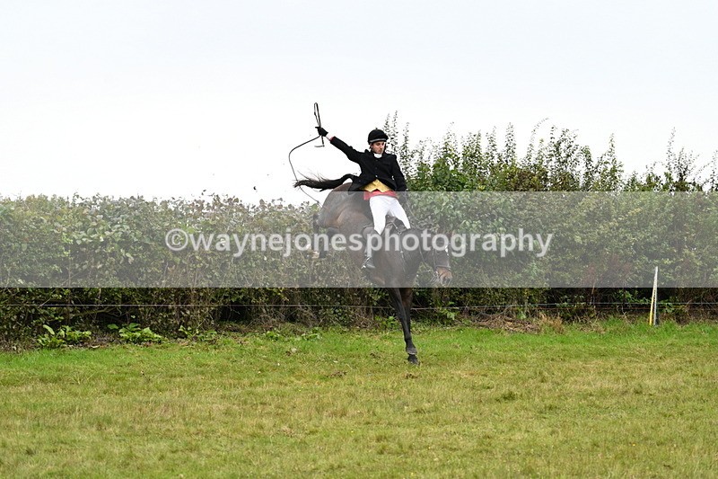 WJ7_4123 - Camera 1 Line 2