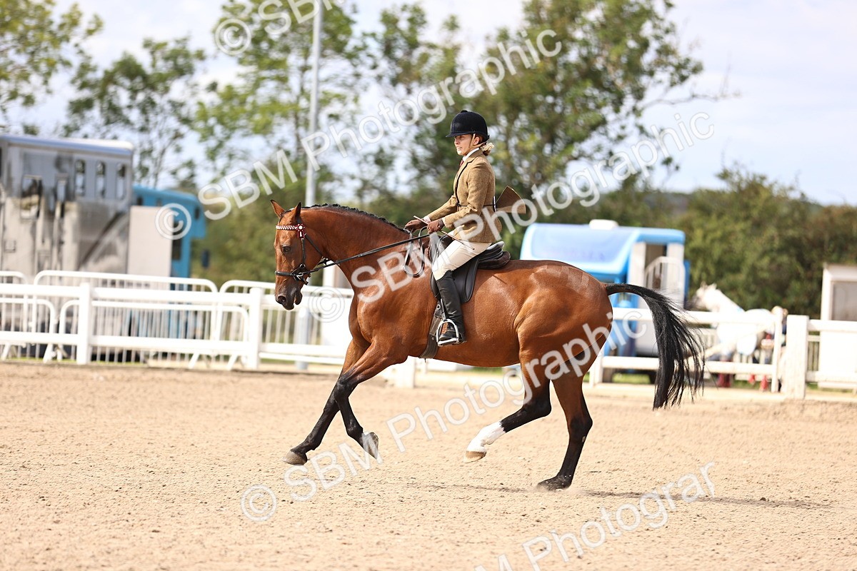 SBM_12939 - Class 410 - Grassroots Ridden - Horse