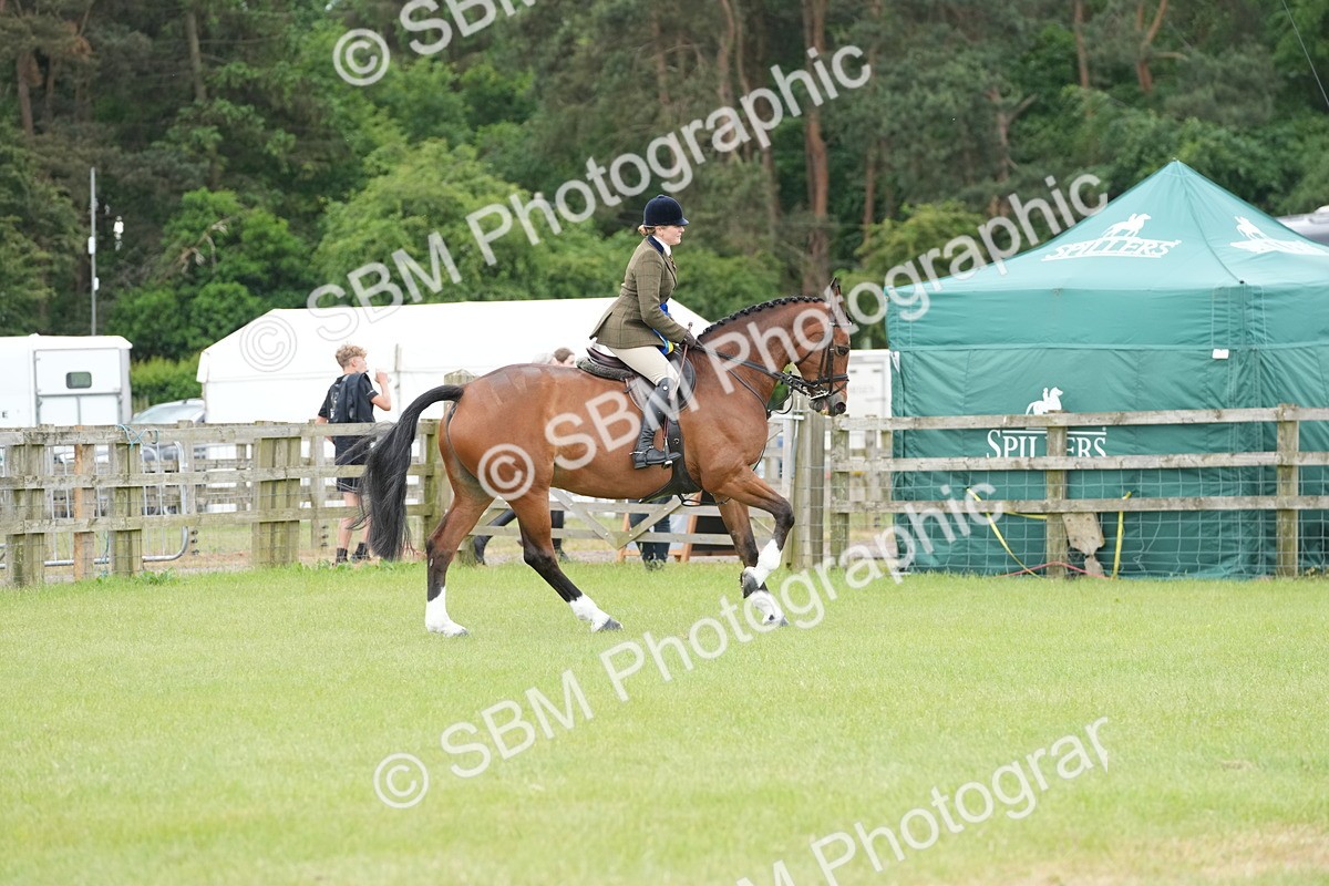 SBM_00035 - Class 100-102 - RIHS Working Hunter