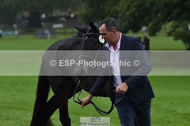 231018-120628-00084 - 060-COOKSTOWN.JACKSON-Alan.Nolan-TrotUp