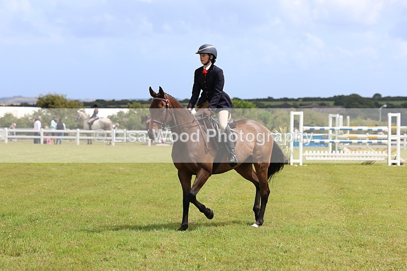 3E7A2353 - Class 11: Retraining of Racehorse