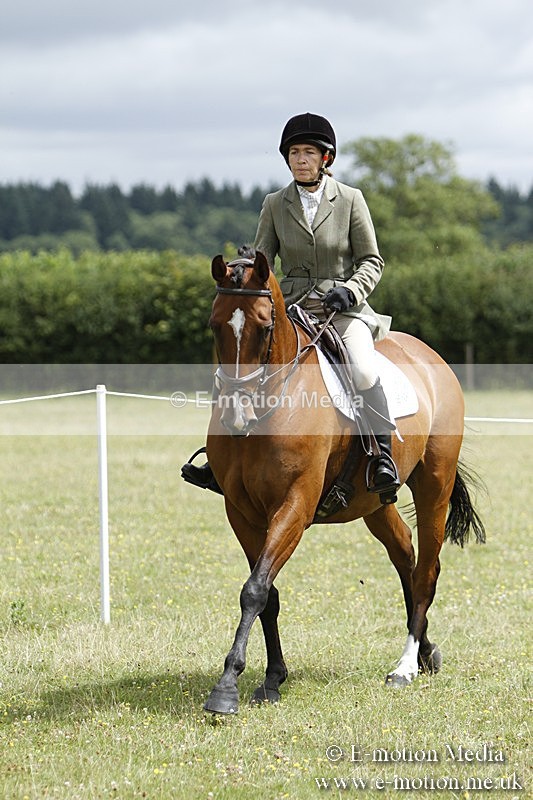 BVR160717-1810 - Ring 3 BVRC Show 16/07/17