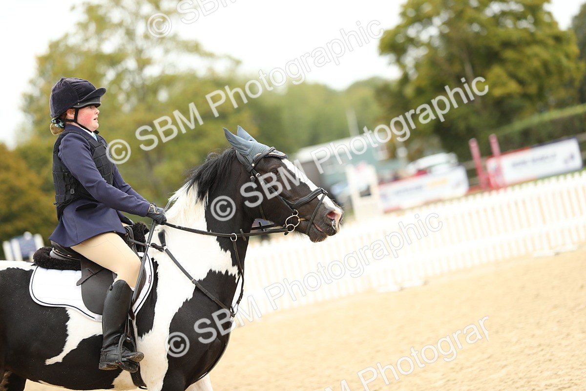SBM_59548 - J25 - Junior Horse 80cm Championship