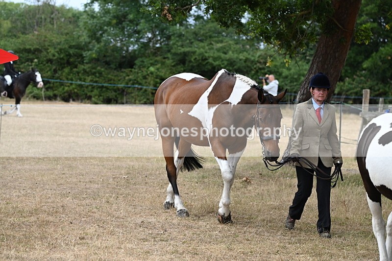WJ6_7939 - Class 10 Coloured in Hand