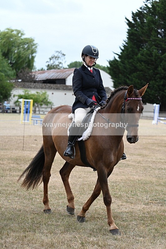 WJ7_0780 - Class 7 Riding Club Show Horse